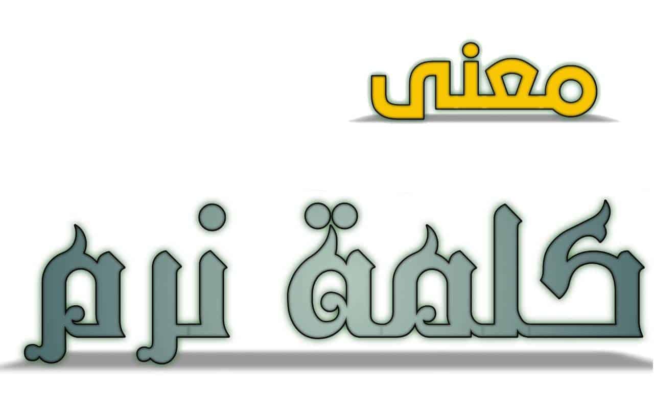 معنى كلمة نرم في اللغة العربية وما أصل هذه الكلمة