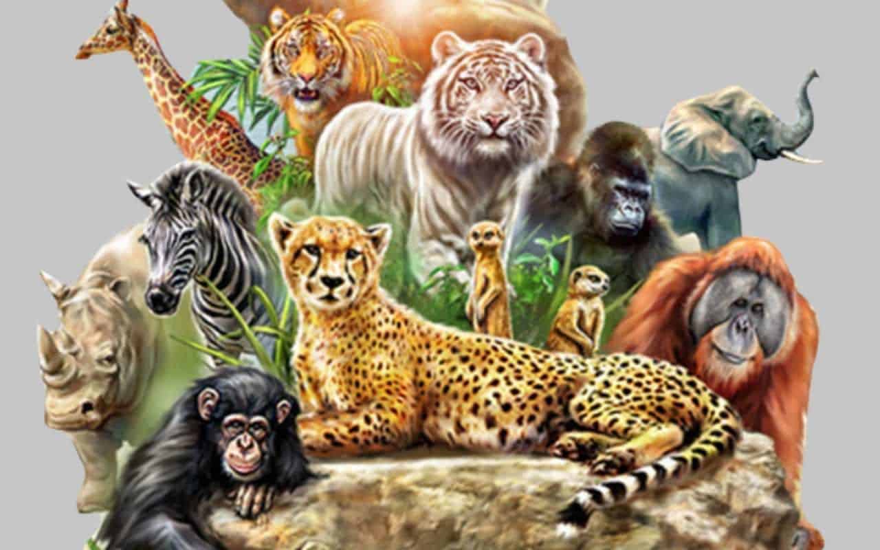 حيوانات مهددة بالانقراض