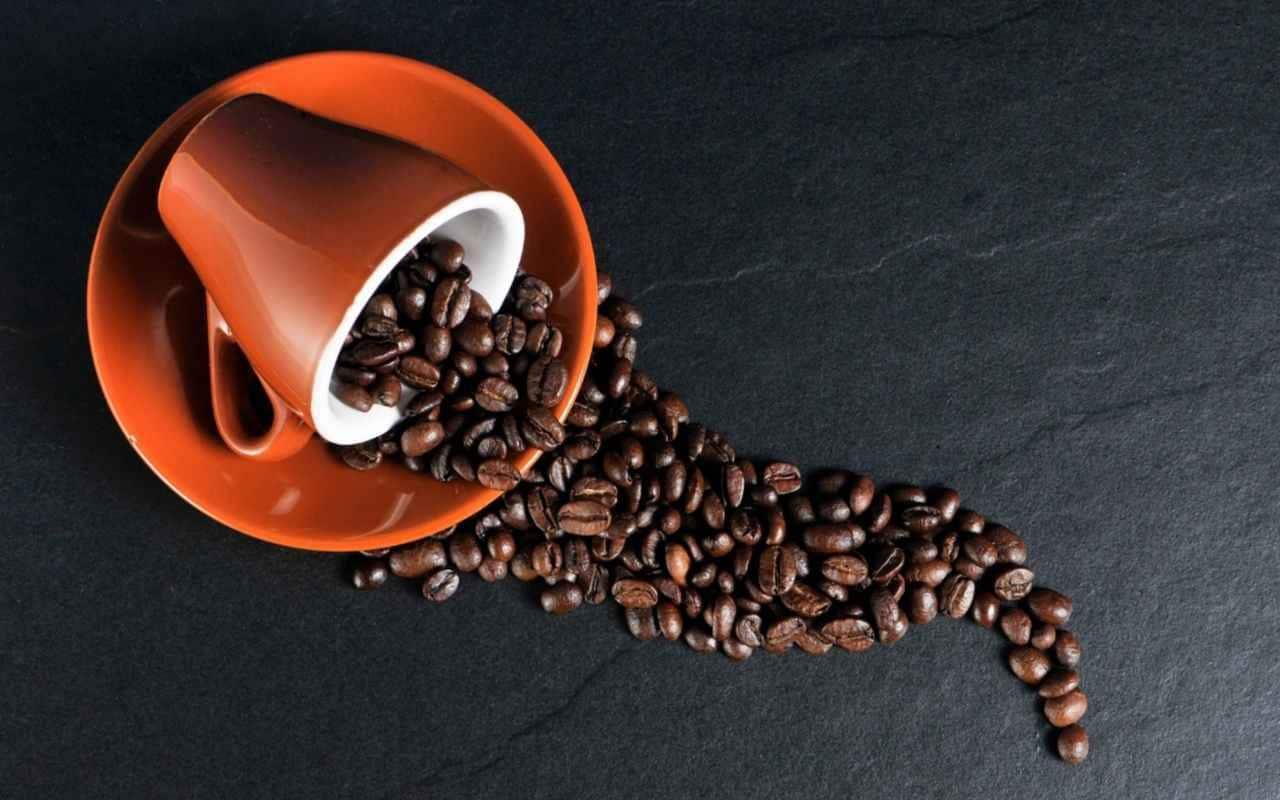 ماهي فوائد القهوة وماهي انواعها والقيمة الغذائية الخاصة بها