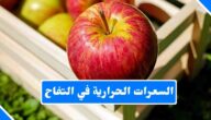 كم عدد السعرات الحرارية في التفاح وهل يساعد حقًا في إنقاص الوزن؟